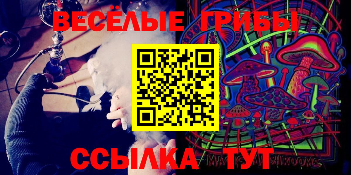 Полысаево  Псилоцибиновые грибы Cubensis  Вход с VPN 